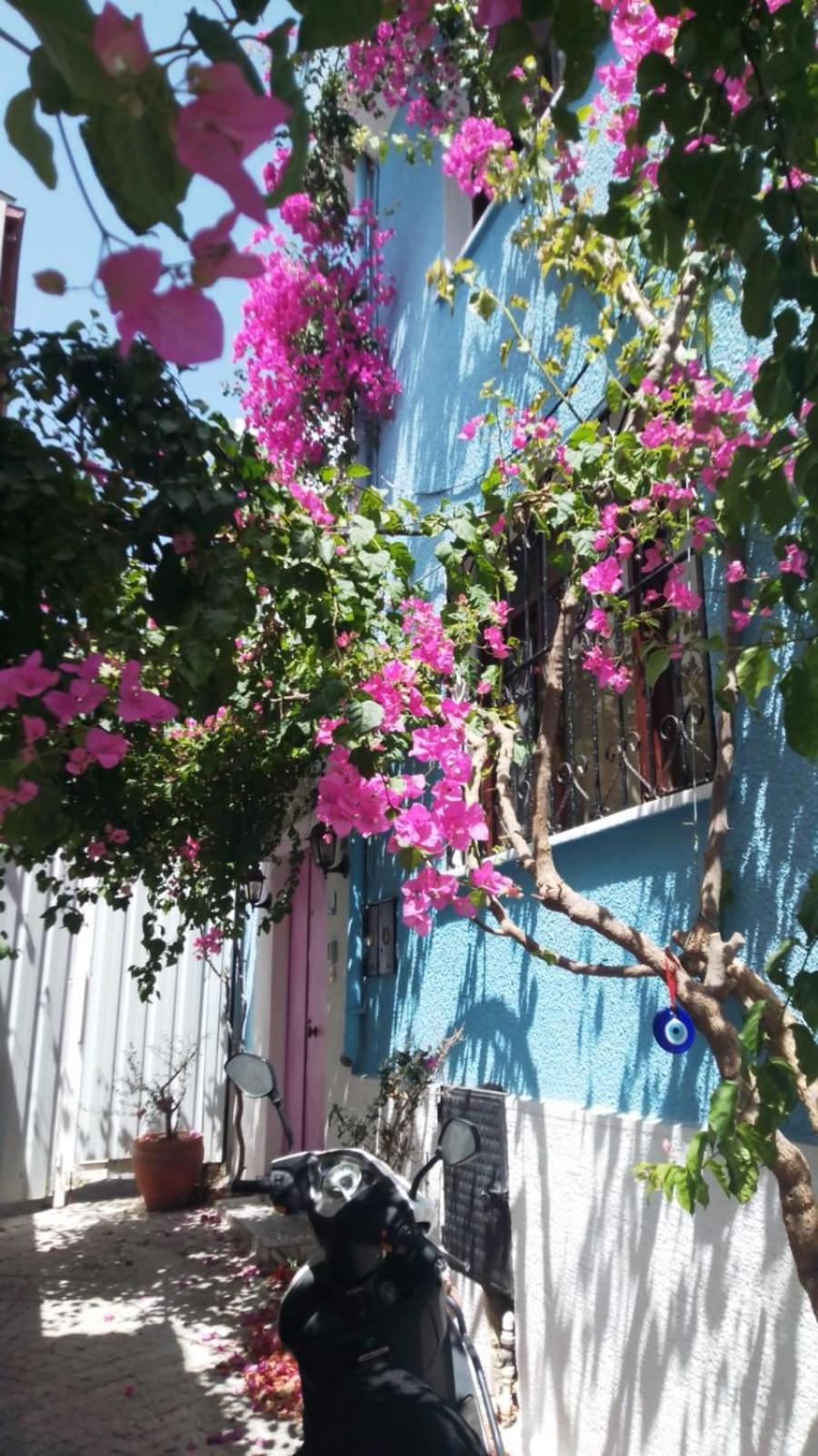 Casa Magnolia Boutique Rooms Kusadasi Exterior photo