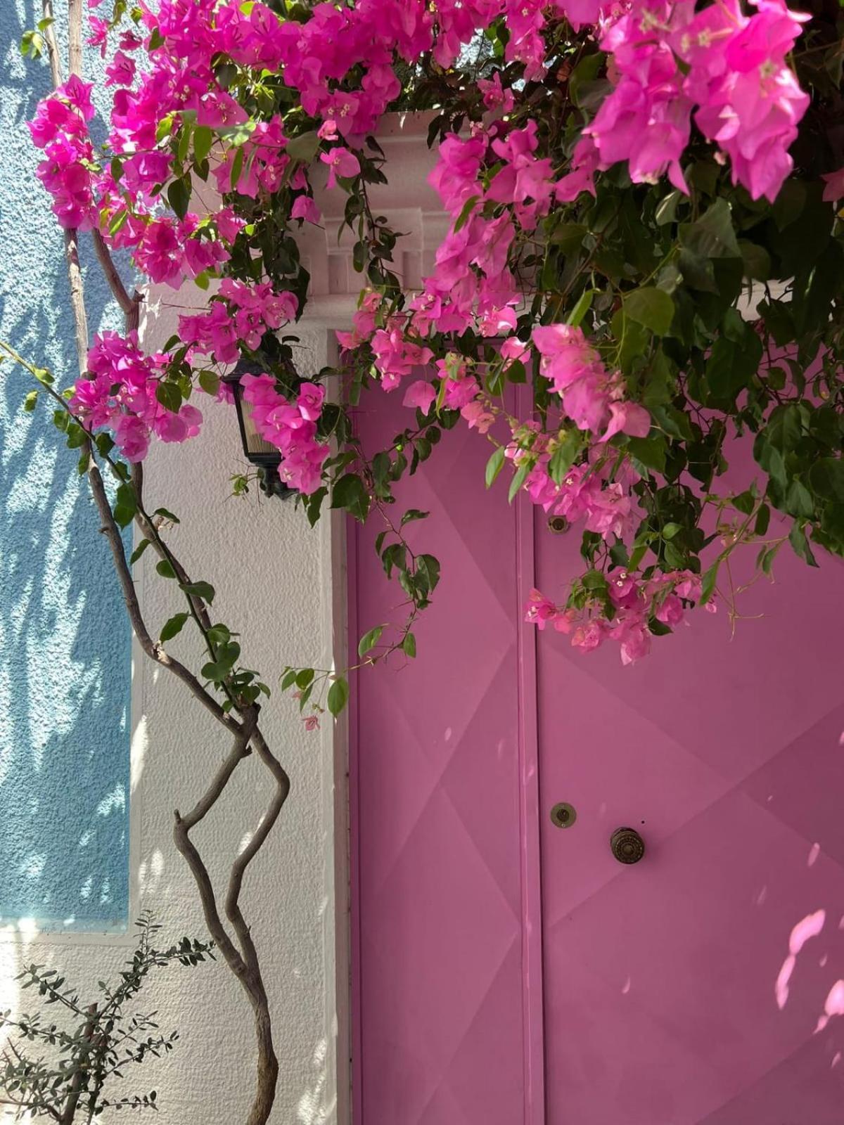 Casa Magnolia Boutique Rooms Kusadasi Exterior photo